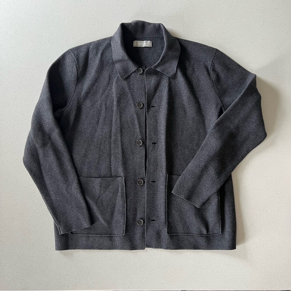 Everlane Men’s Collared Sweater
